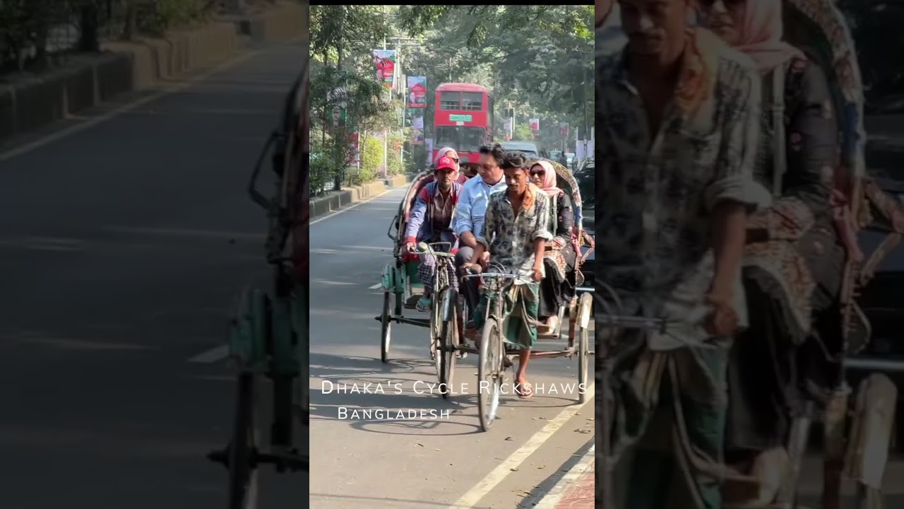 Dhaka Bangladesh cycle rickshaws