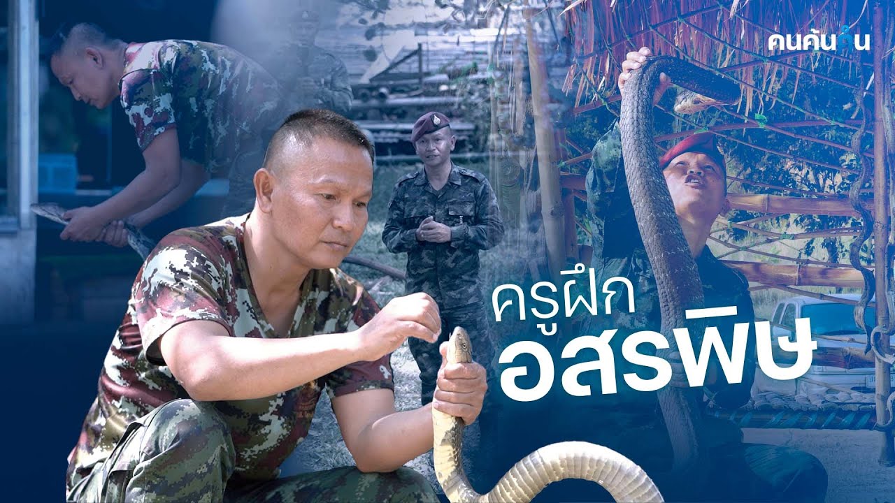 กัปตันงู คนที่เปลี่ยนจงอางเป็นลูกหมา | คนค้นฅน : จ่าดล ครูฝึกอสรพิษ