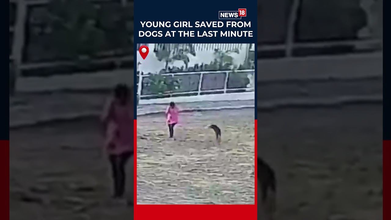 Karnataka Girl Fights Off Stray Dogs, Escapes Attack in Viral Video | Dog Attack News | N18S