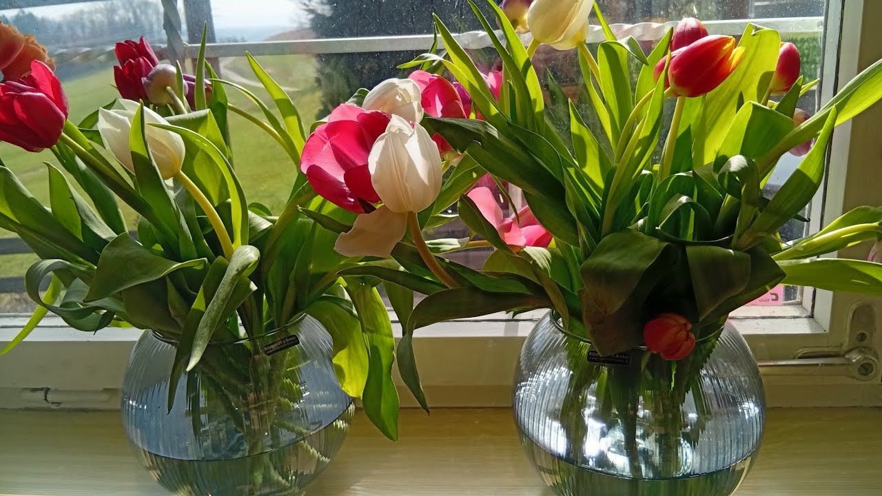 ДЕВЧАЧЬИ ПОСИДЕЛКИ К 8 МАРТА 🙋😁💐
