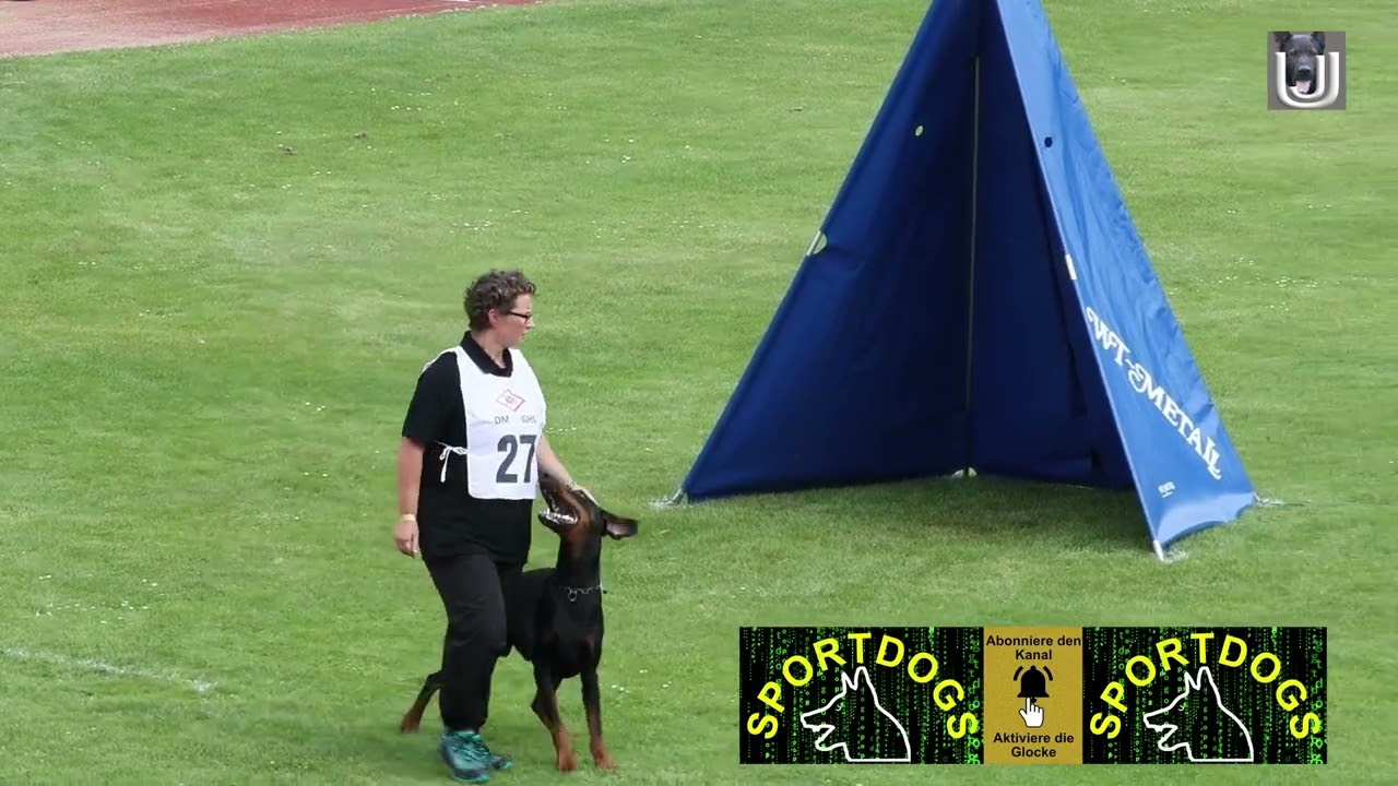 Merle König mit dem Dobermann Rüden Askiell vom Dunkelvolk im Schutzdienst für den Dobermann Verband