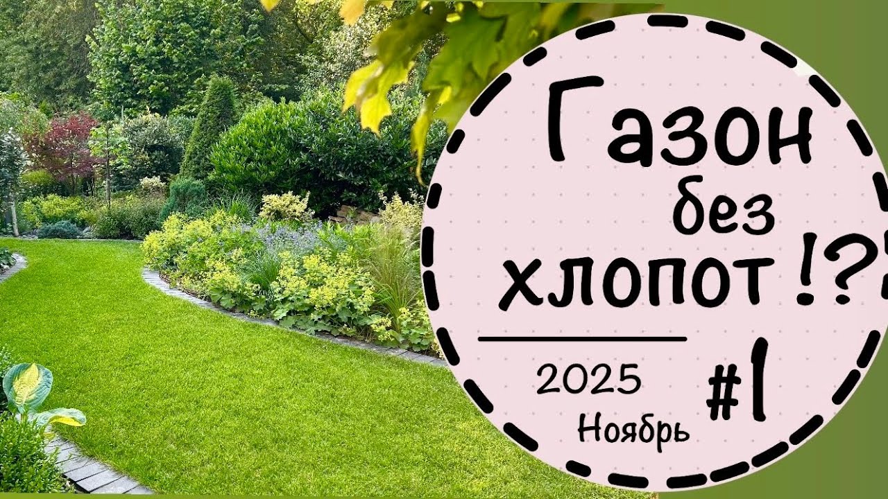 Малоуходный газон — миф? ☘️ Спор с дизайнером!