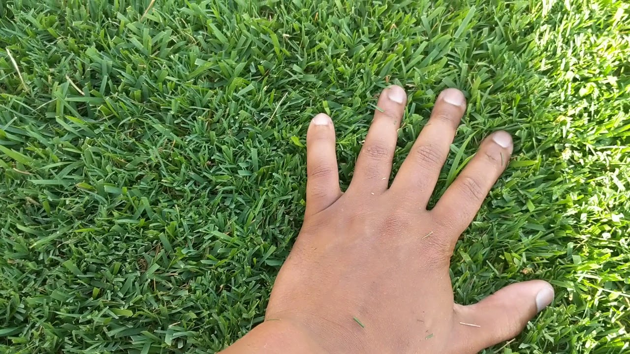 Fiskars Reel Mower Update