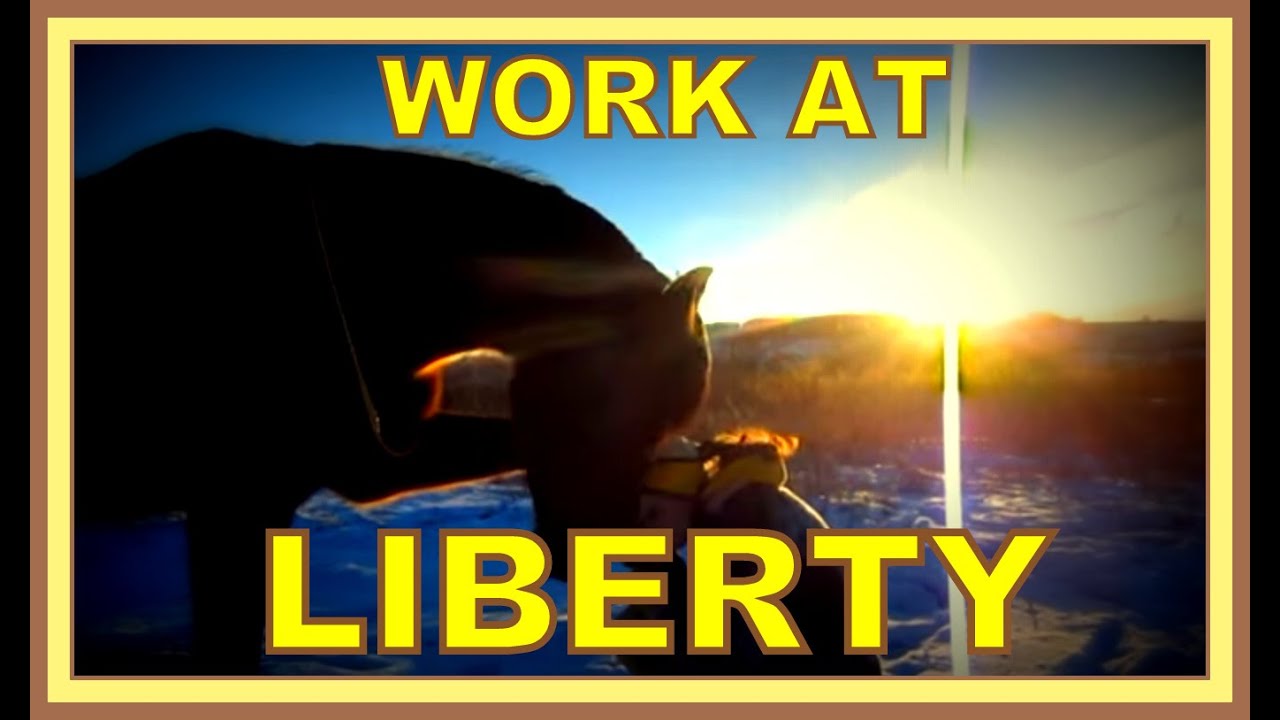 Солнечный  LIBERTY день. Анита Крылова