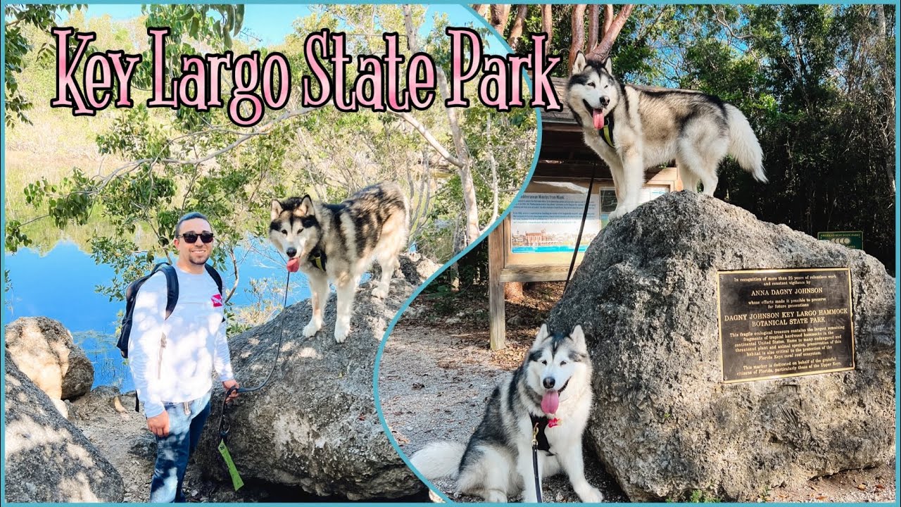 Поход с собаками по лучшему государственному парку Флорида-Кис | Dagny Johnson Key Largo Hammock