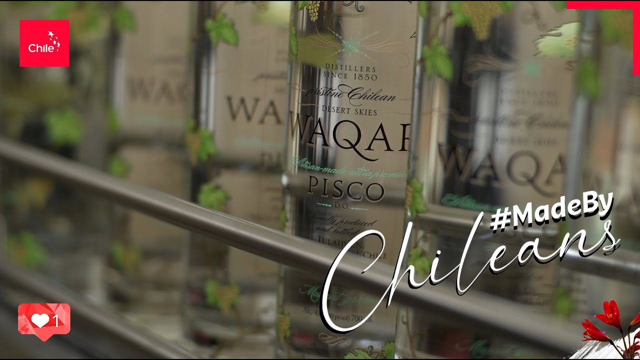Made by Chileans - Waqar | Marca Chile