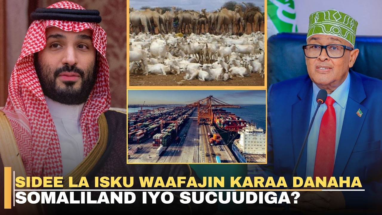 Falanqayn: Sidee la isku waafajin karaa danaha Somaliland iyo Sucuudiga?