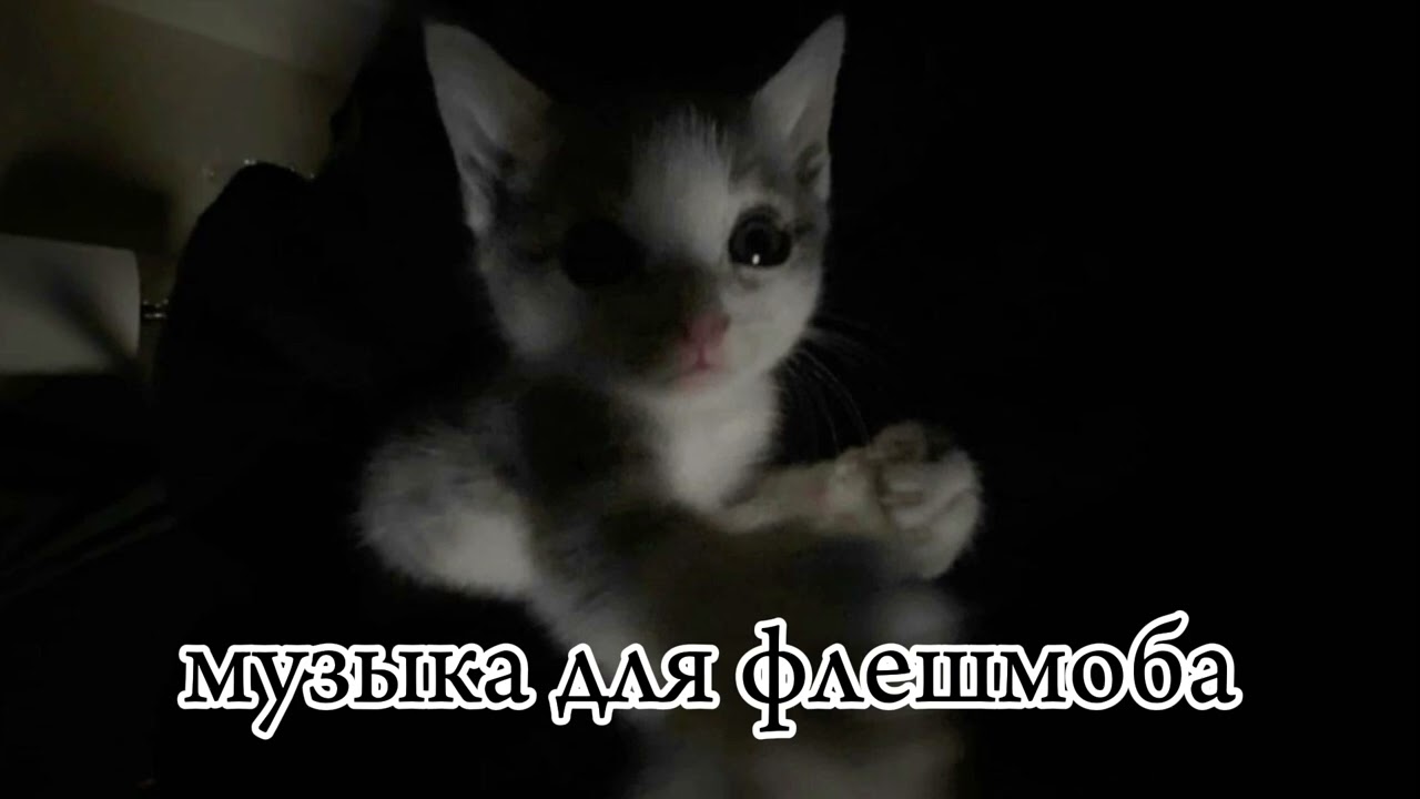 МУЗЫКА ДЛЯ ФЛЕШМОБА 🎧