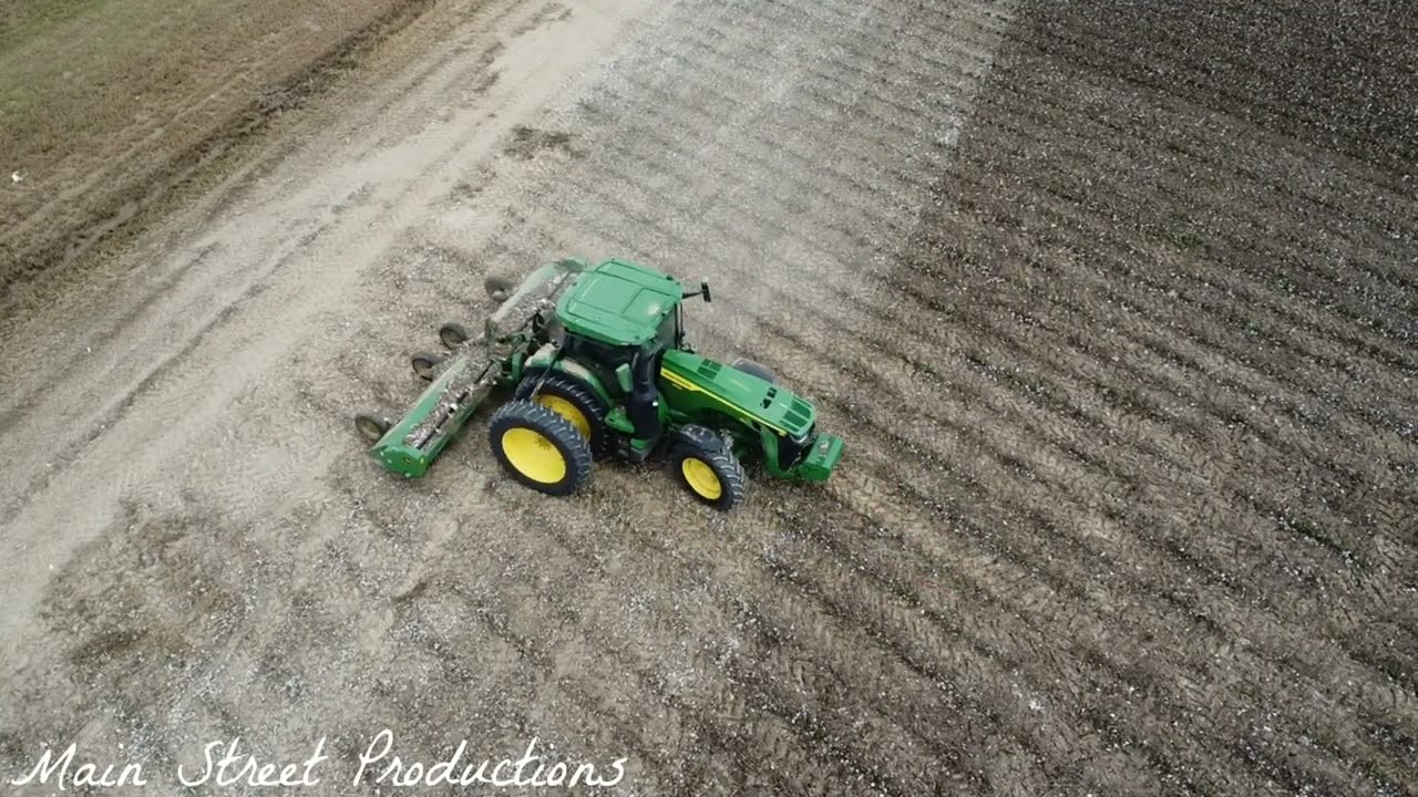 Autumn Cotton Harvest in Mississippi