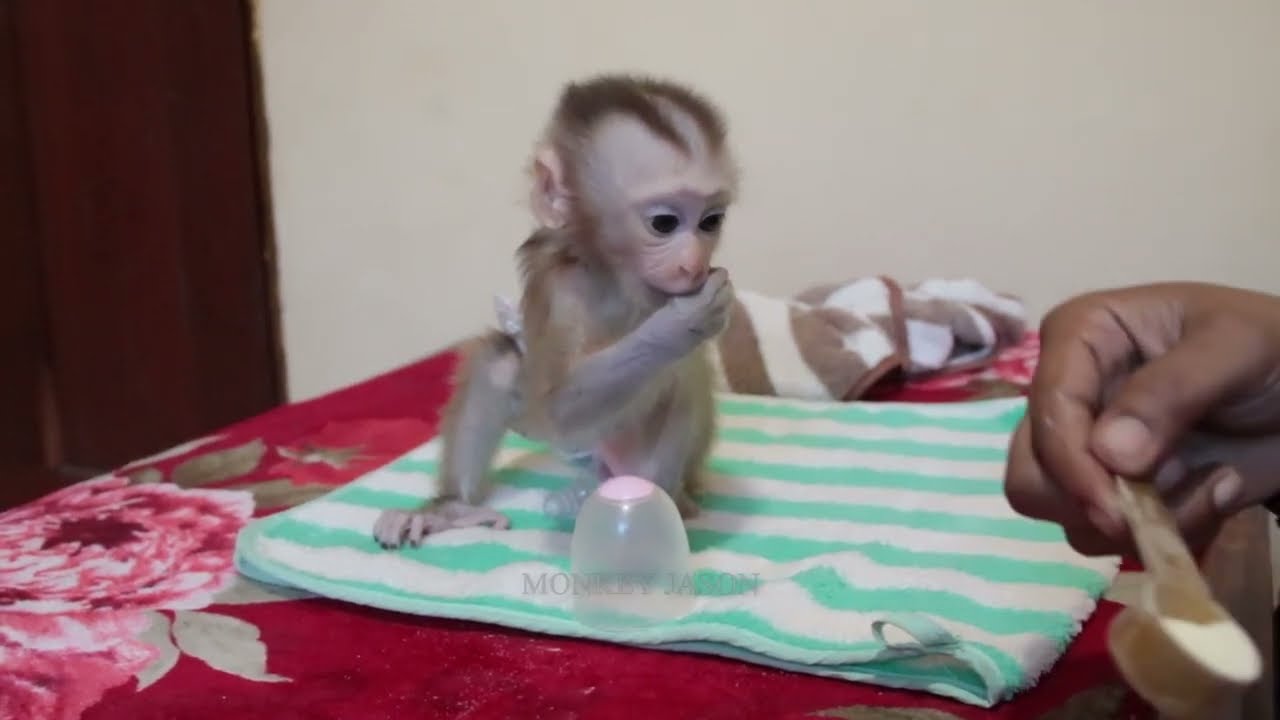 Jason Inconsolable Find For Milk