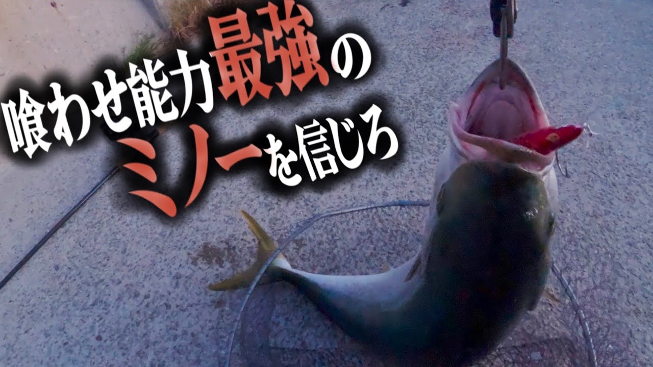 【大型青物】ミノーを信じて投げ続けたら・・・