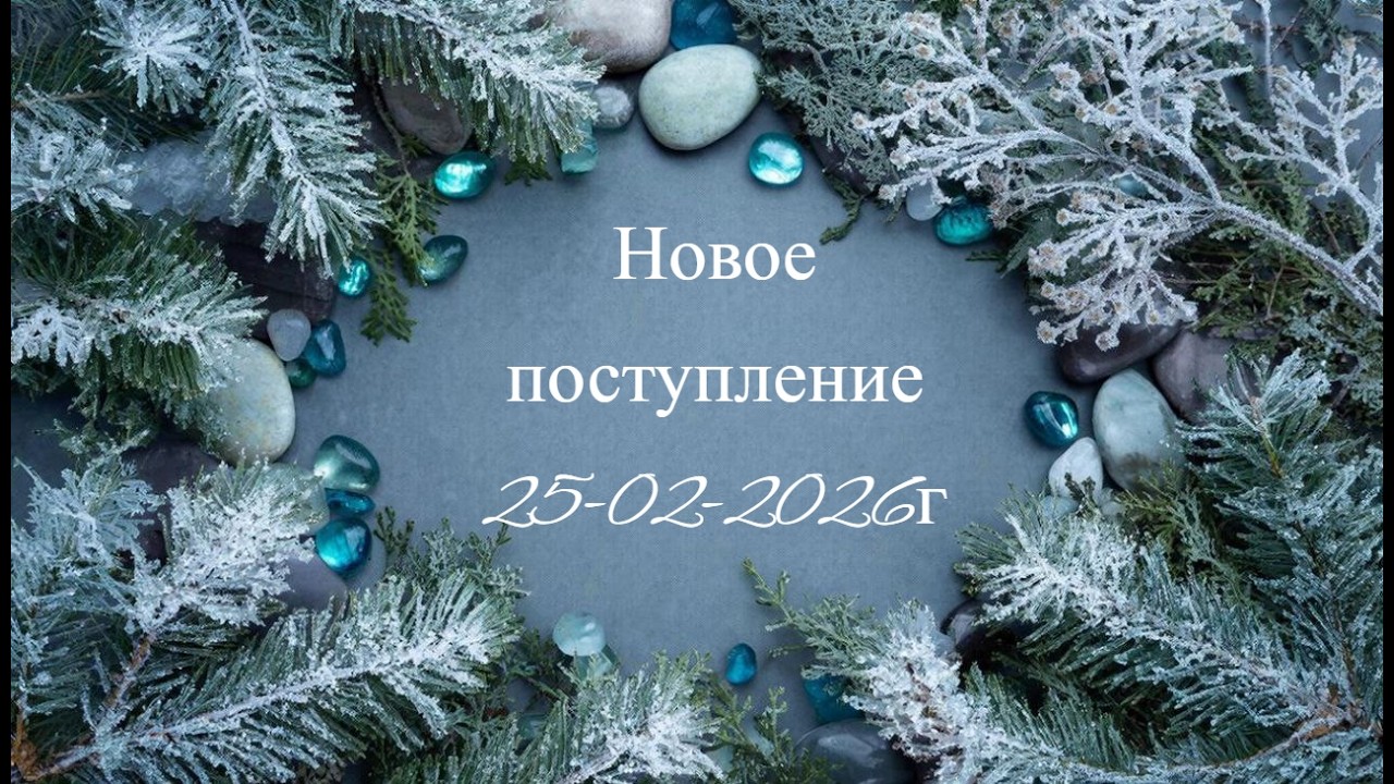 Новое поступление 25-02-2026