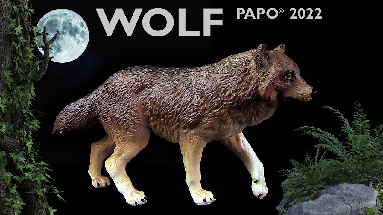 Papo ® Wolf / Loup / Lobo - Neuheit 2022 New - Review (Deutsch / German)