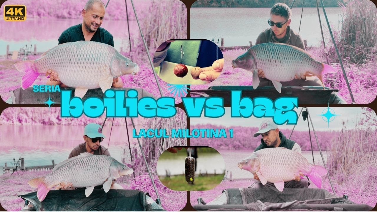 Pescuit de toamna: pungi solubile(bag) vs boilies / 48h pe lacul milotina 1