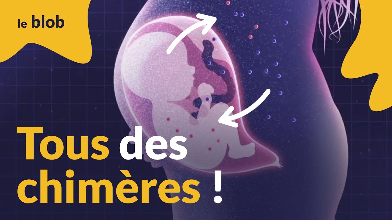 Microchimérisme : des cellules étrangères sont en nous ! | Reportage
