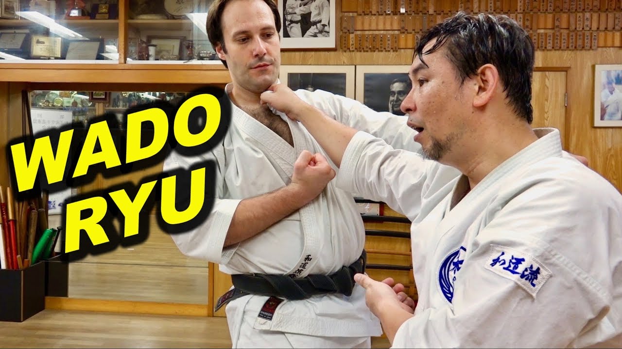 What is Wado-Ryu? Karate, Jujutsu, Japanese swordsmanship　柔術と剣術を取り込んだ空手、和道流空手とは何か？