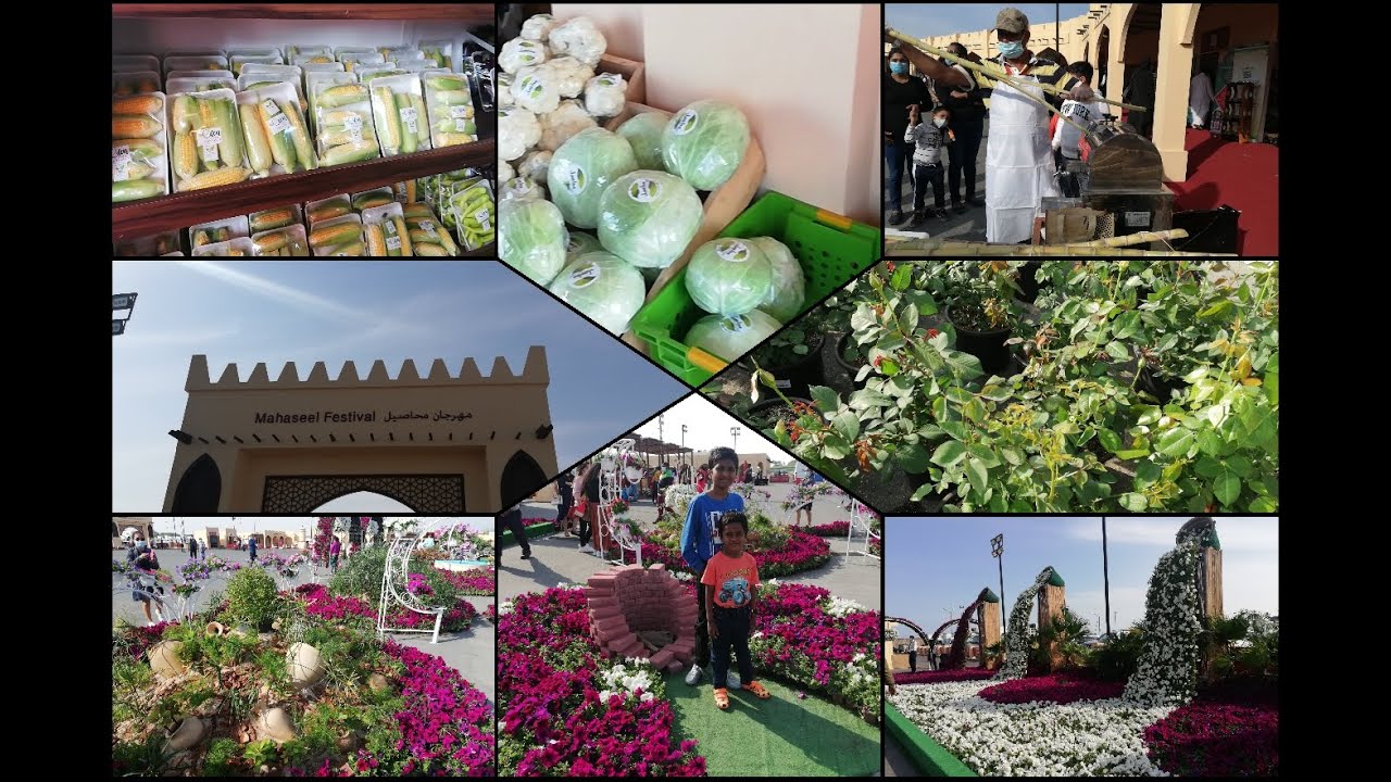 Mahaseel festival in Katara @ Qatar // Tamil