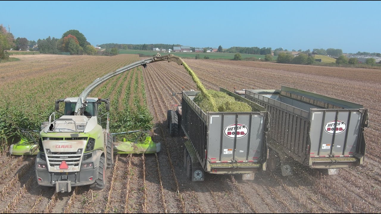 Destiny Corn Silage Harvest 2023 (Long Version)