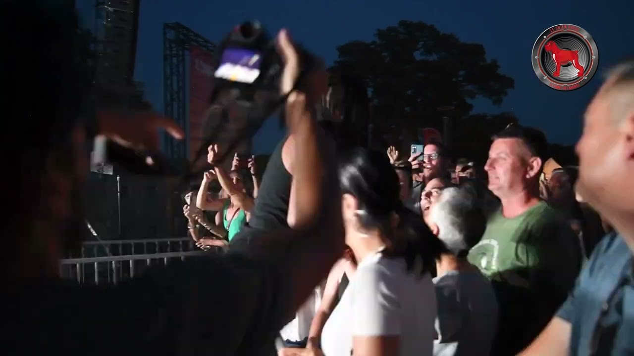 Festival le Chien Rouge // Skip the use (extraits concert) // Juillet 2023 au Cannet des Maures