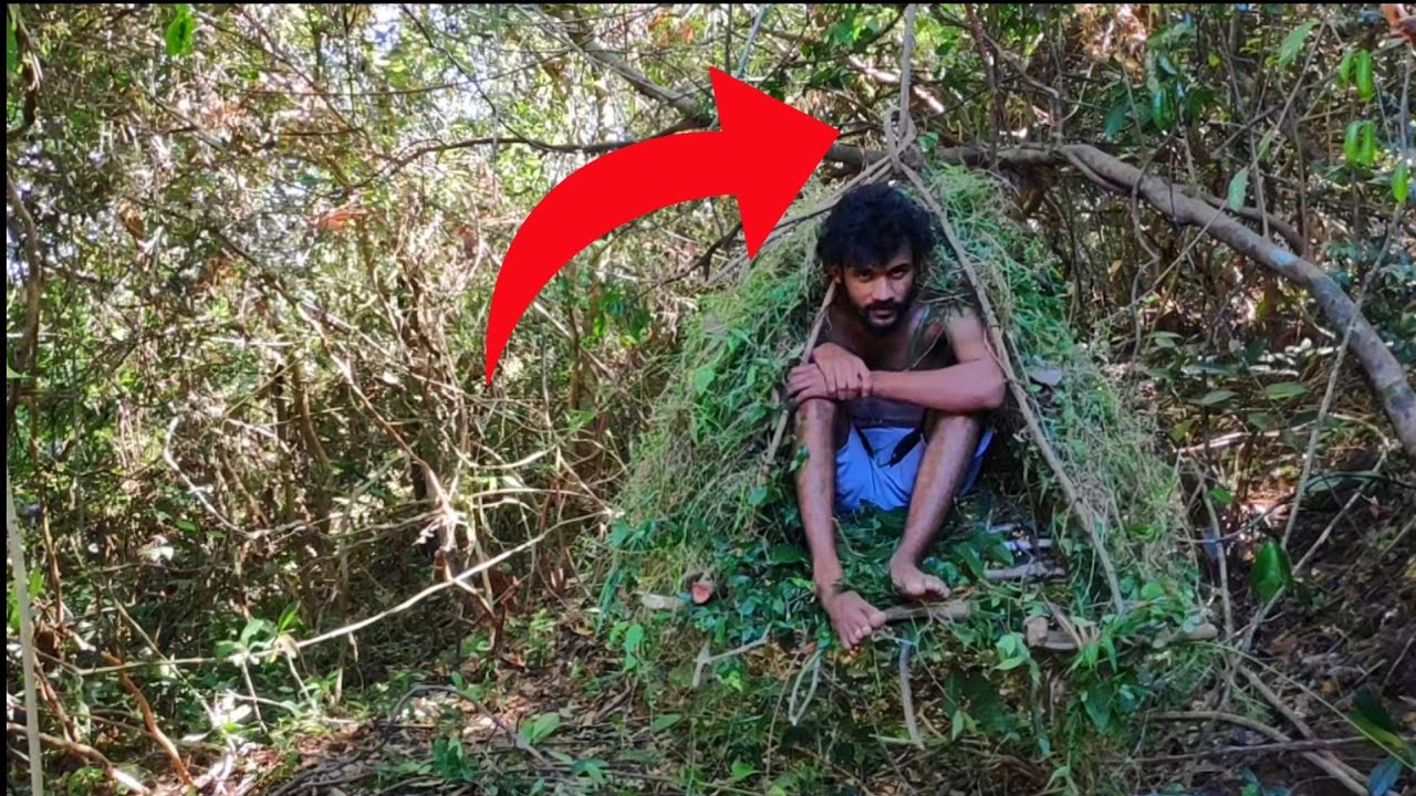 building the beautiful big Bird nest house on the tree | forest house making