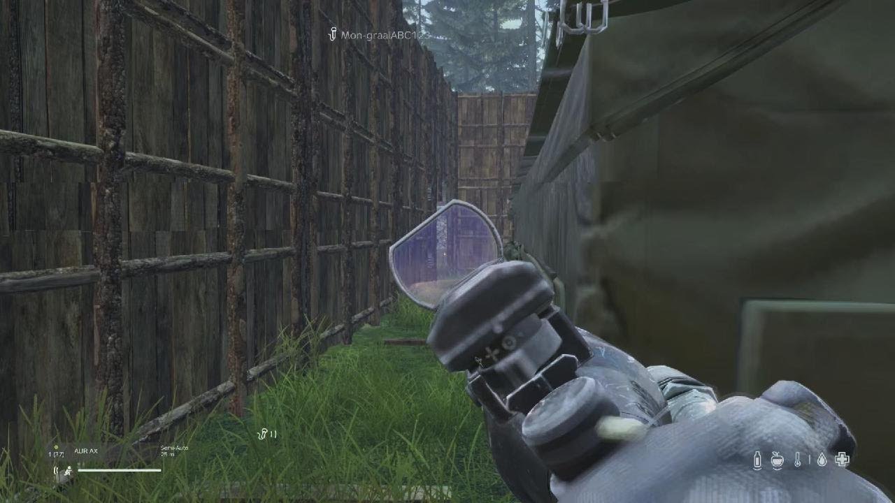 DayZ