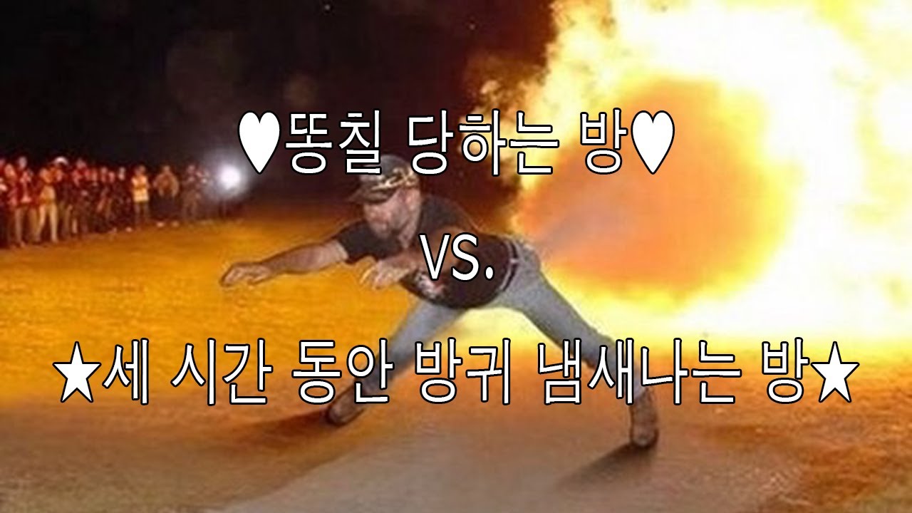 비위 강하고 이해력 높은 사람만 클릭