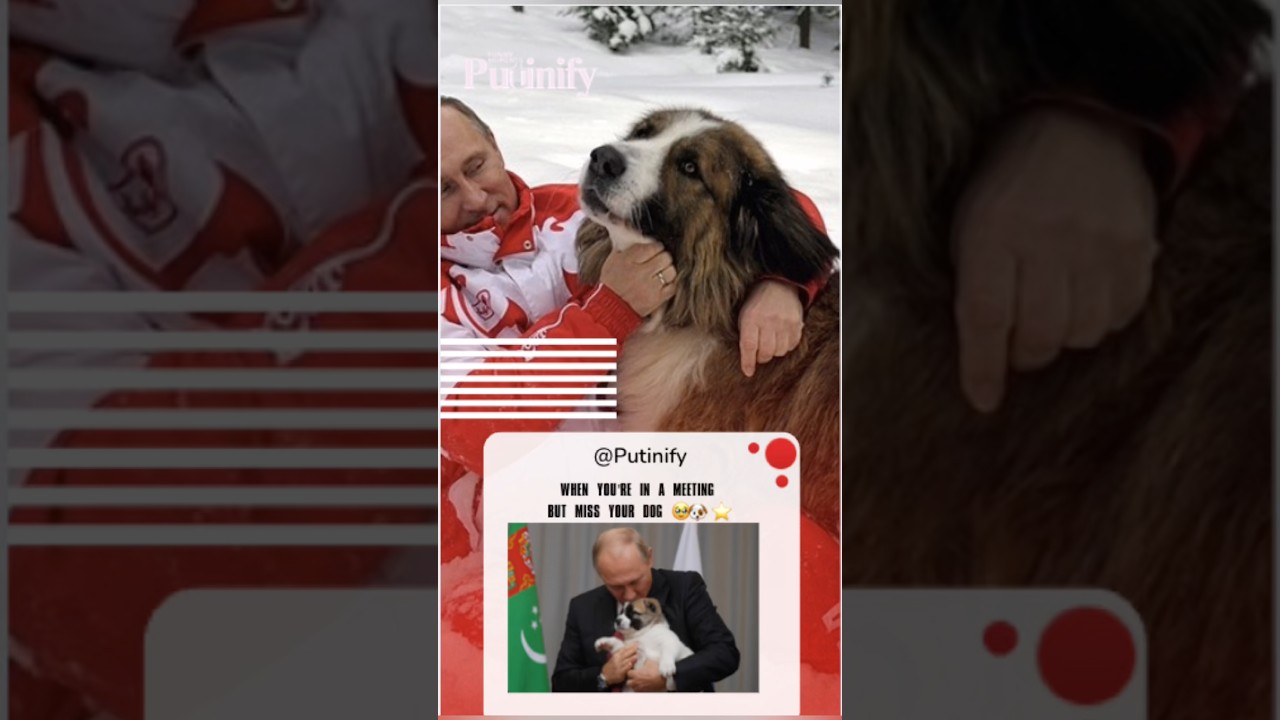 When You're in a Meeting but Miss Your Dog 🥹🐶⭐ #Putin #Dogs #worldnews