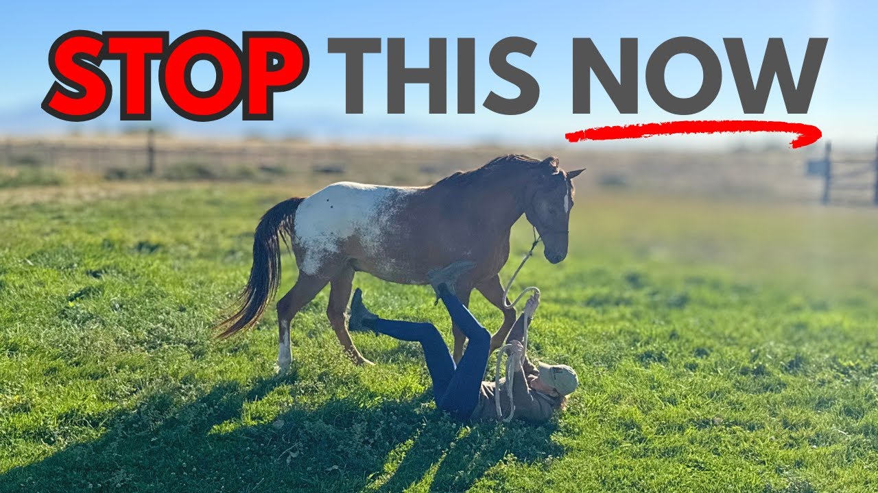 ￼If Your Horse Pushes You Around, Do This