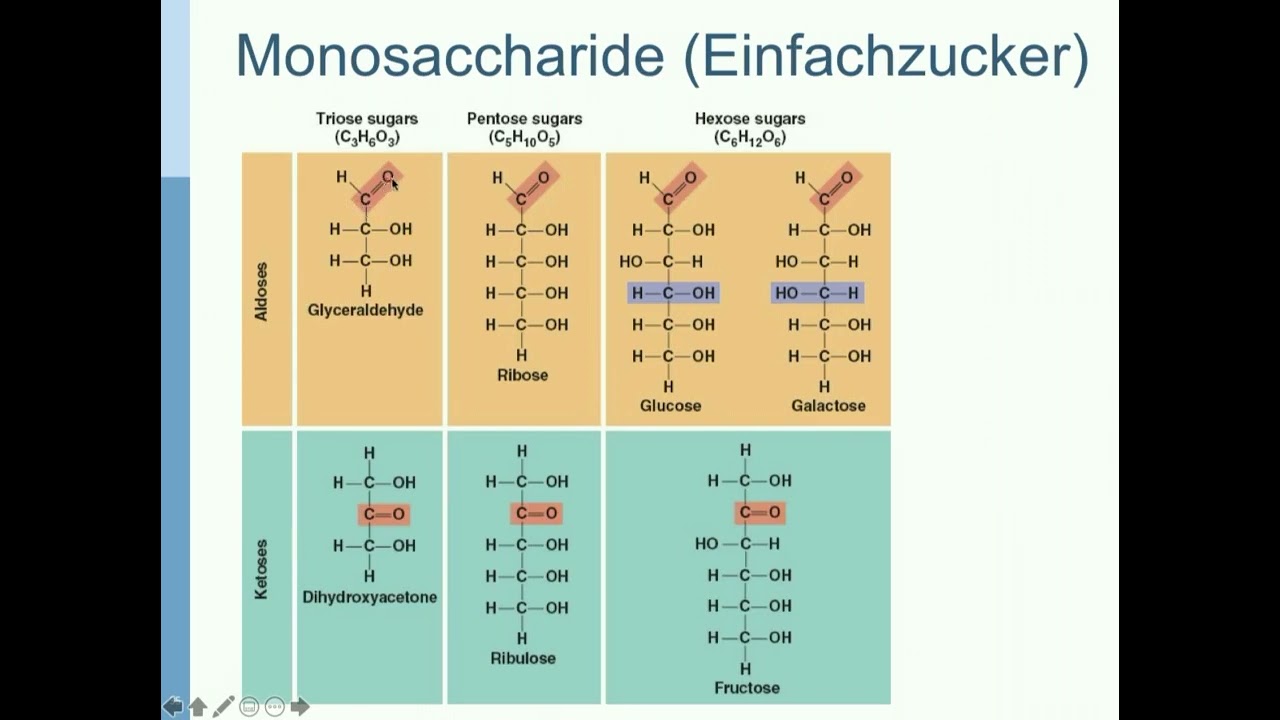 CH8 Biochemie: Kohlenhydrate Video 1: Monosaccharide (Glucose und Fructose)