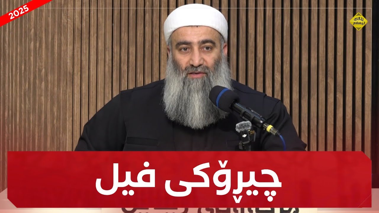 چیڕۆکی فیل :: مامۆستا هەڵۆ mamosta halo