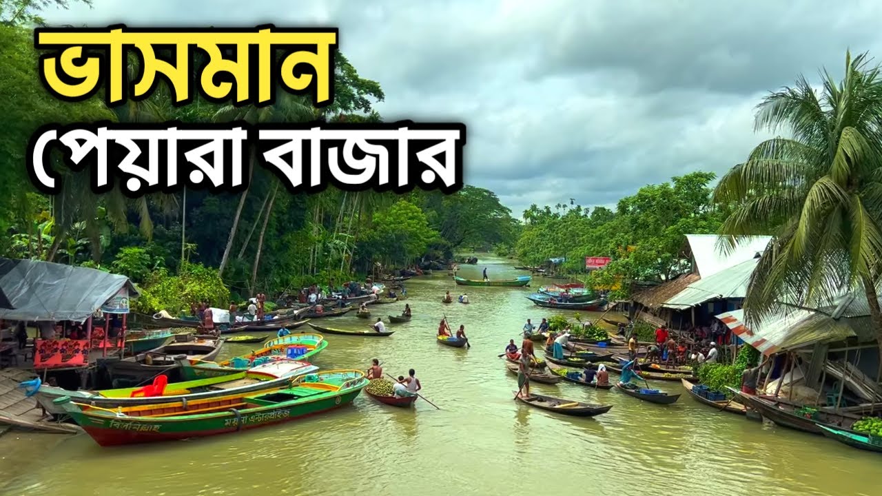 বরিশালের  ভাসমান পেয়ারা বাজার ২০২৫ 🇧🇩 | ভিমরুলি পেয়ারা বাজার | Vimruli | Barishal Tour 2025