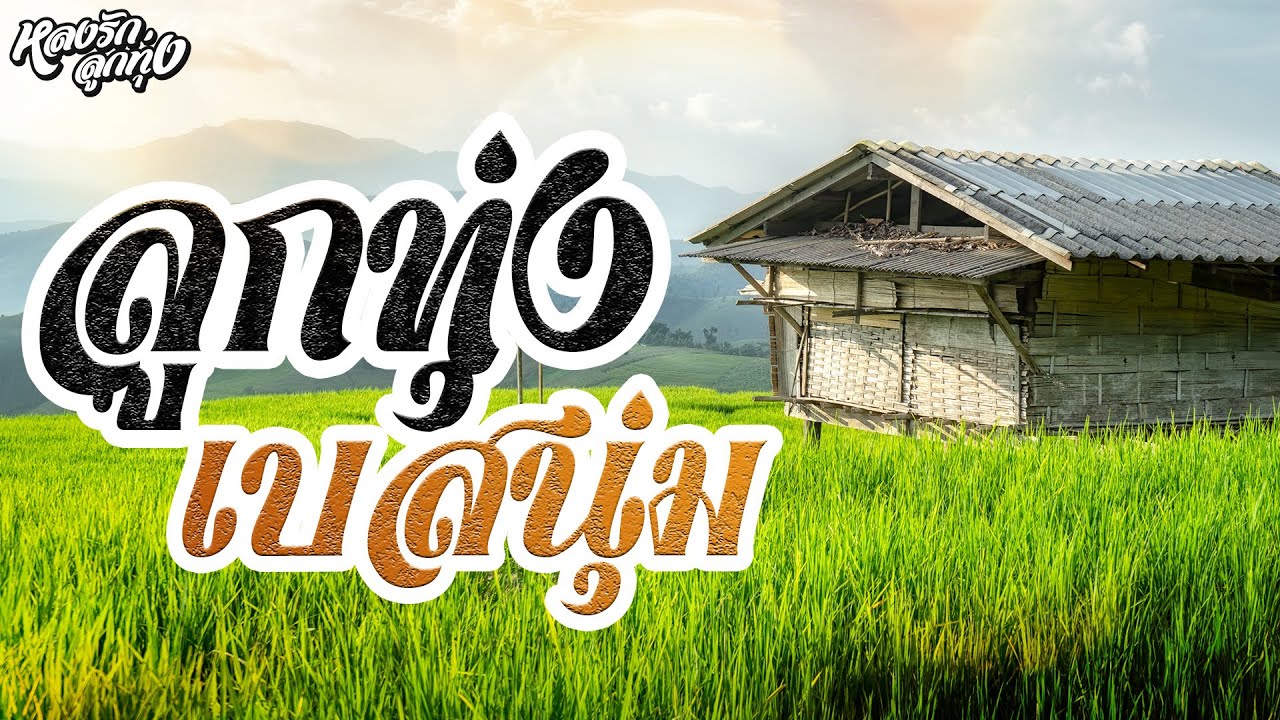 ลูกทุ่งเบสนุ่ม #รักกับป๋าพาไปยันฮี #ผู้แพ้รัก #ใบตองรองน้ำตา
