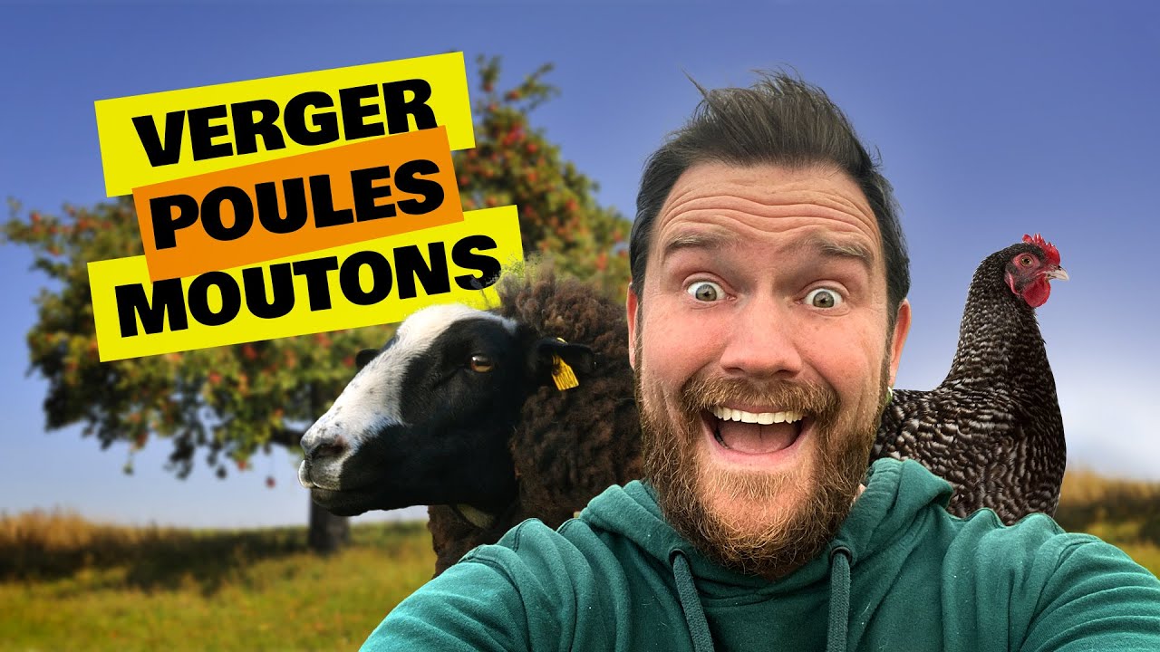 2ème année au verger ! // Néoruraux #21