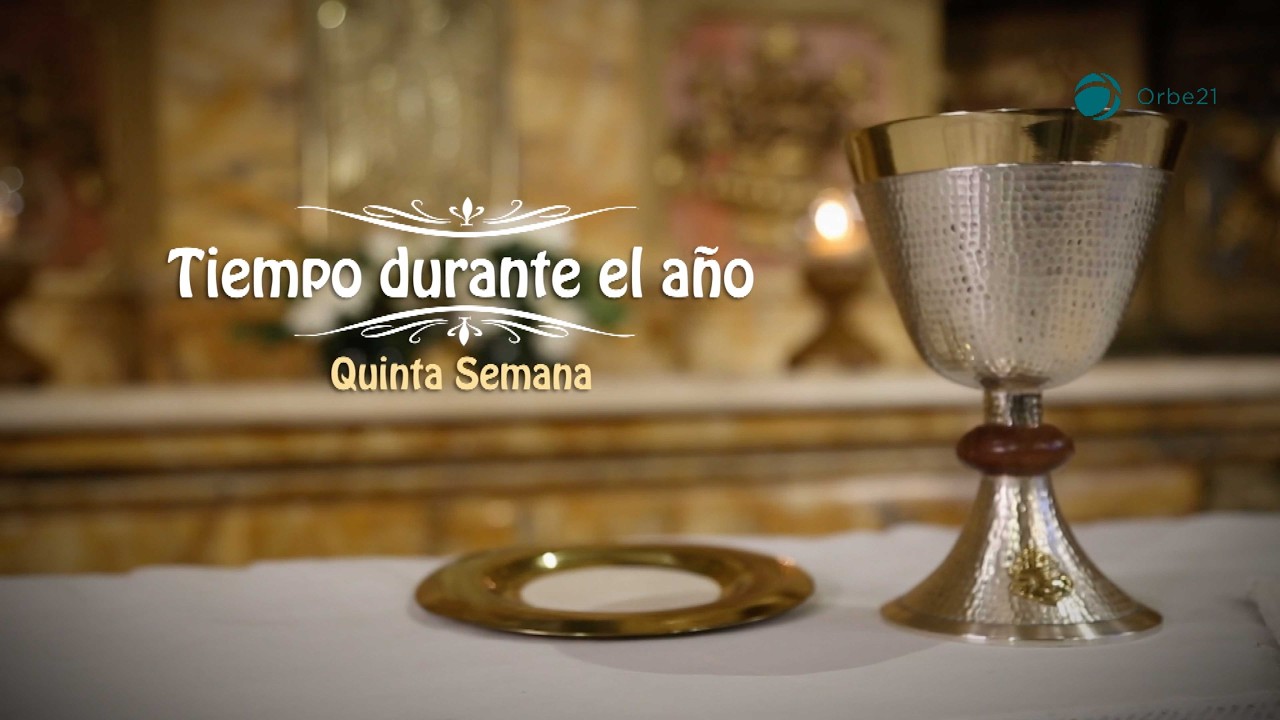 Nuestra Misa || 5º Domingo del tiempo durante el año