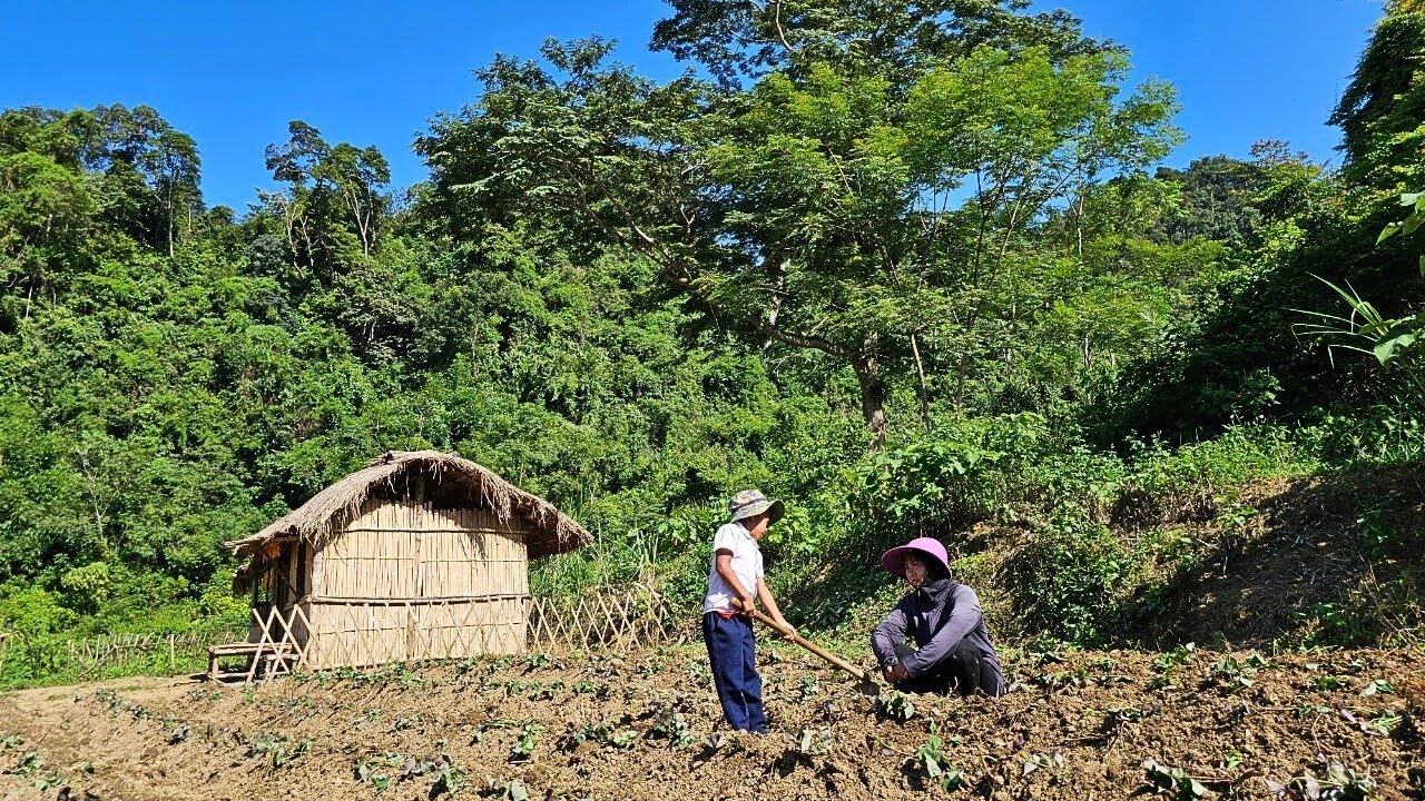 Single mother: Planting a new orchid garden & Raising children alone - Ly Tien Ca