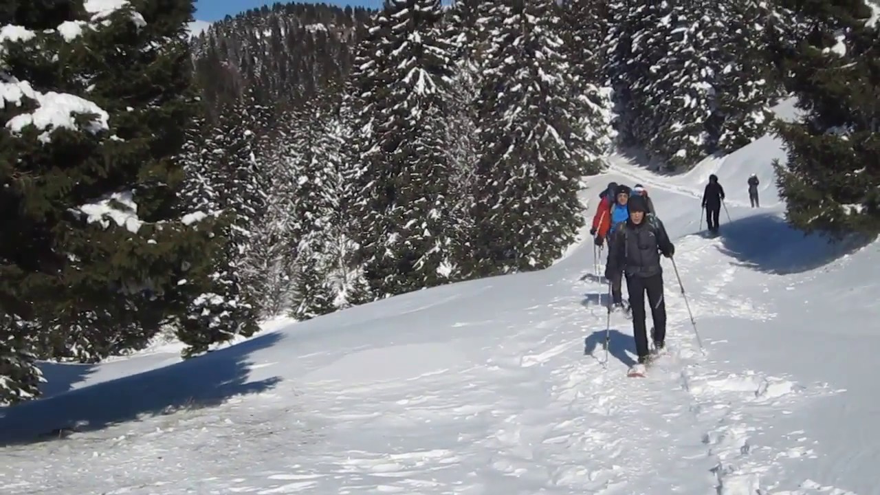 Foresta dei Folignani - Lessinia  08-02-2015