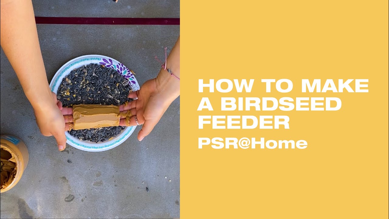 How to Make a Birdseed Feeder | PSR@Home