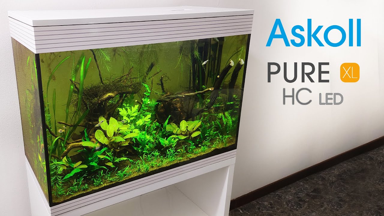 Il mio Nuovo PURE XL LED HC di Askoll