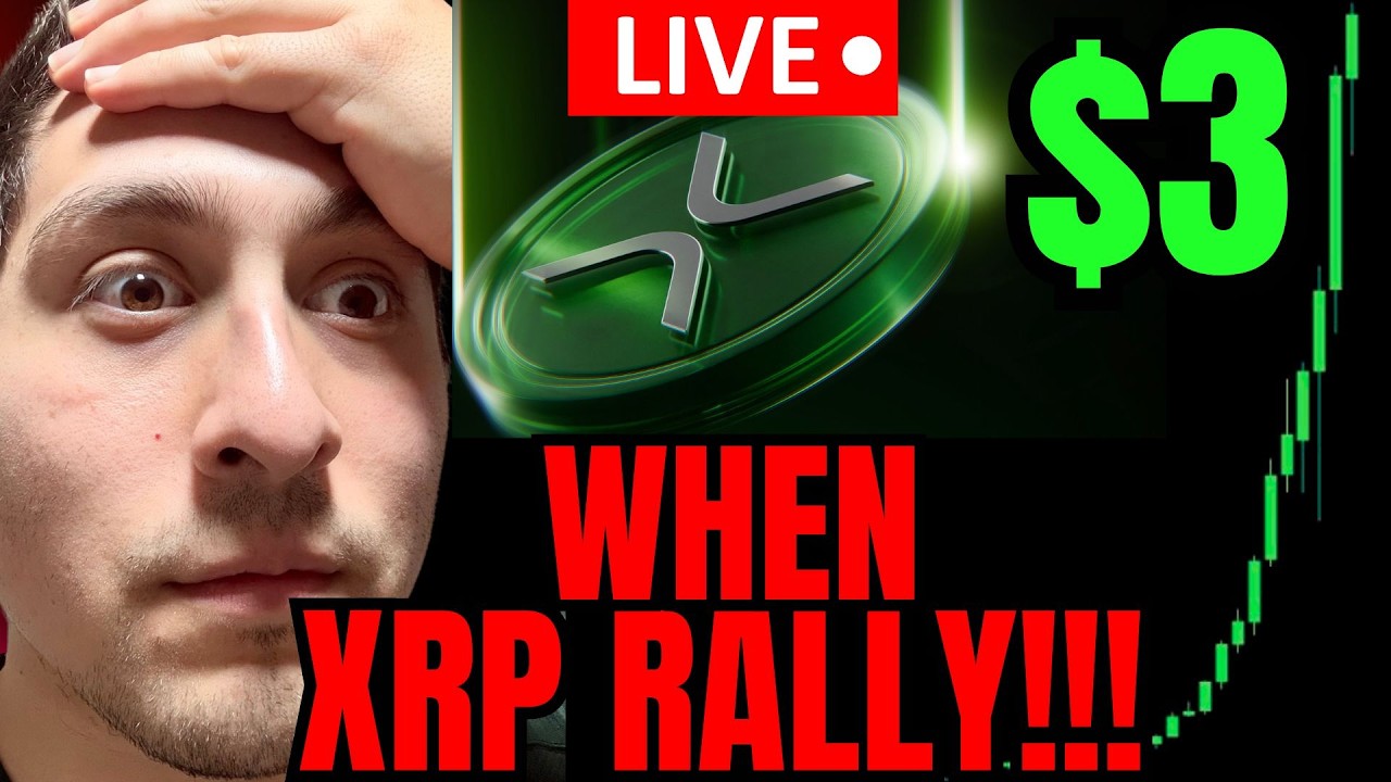 XRP ALL IN is the ONLY CHOICE for me