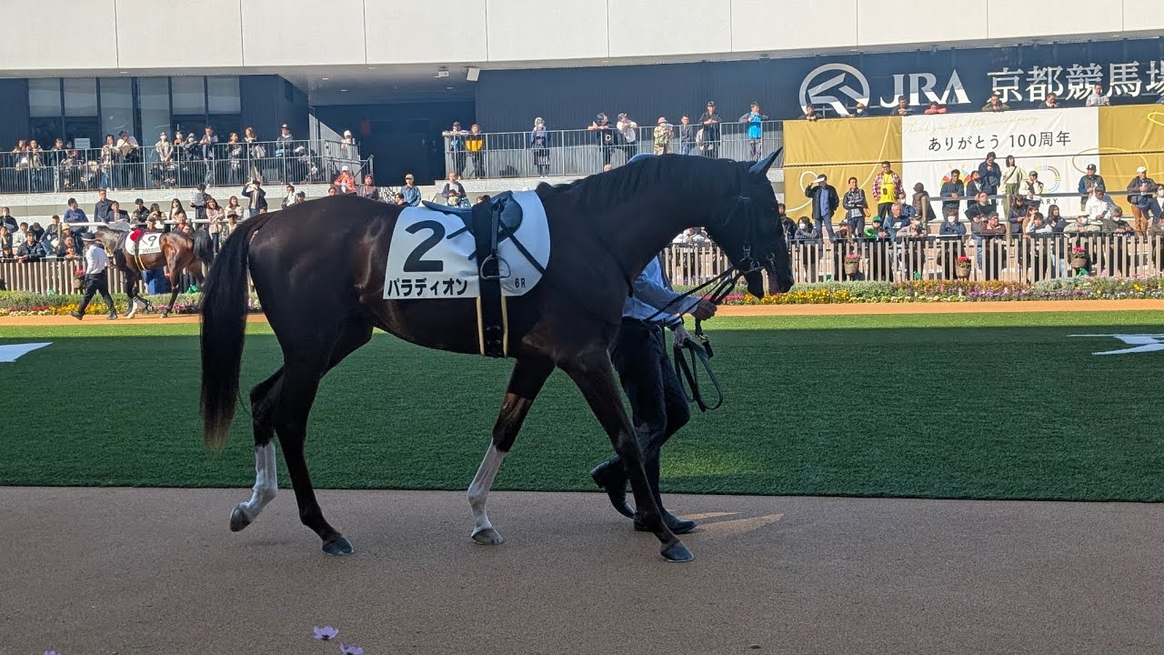 【新馬戦2025】パラディオンが直線突き抜けてデビュー勝ち！