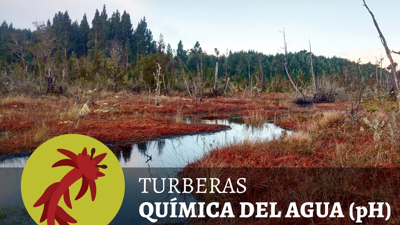 Qu&iacute;mica del agua en las turberas