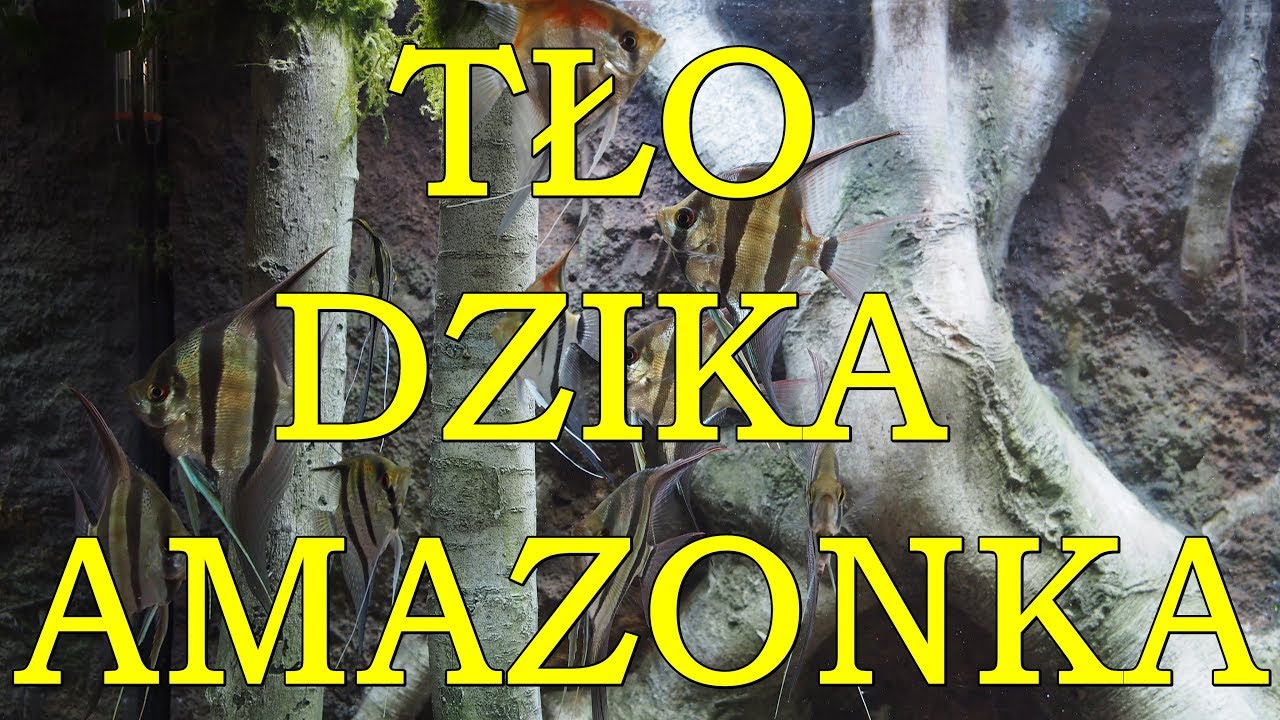 Mam nowe tło 3D Amazonka!  *tło jak DIY*