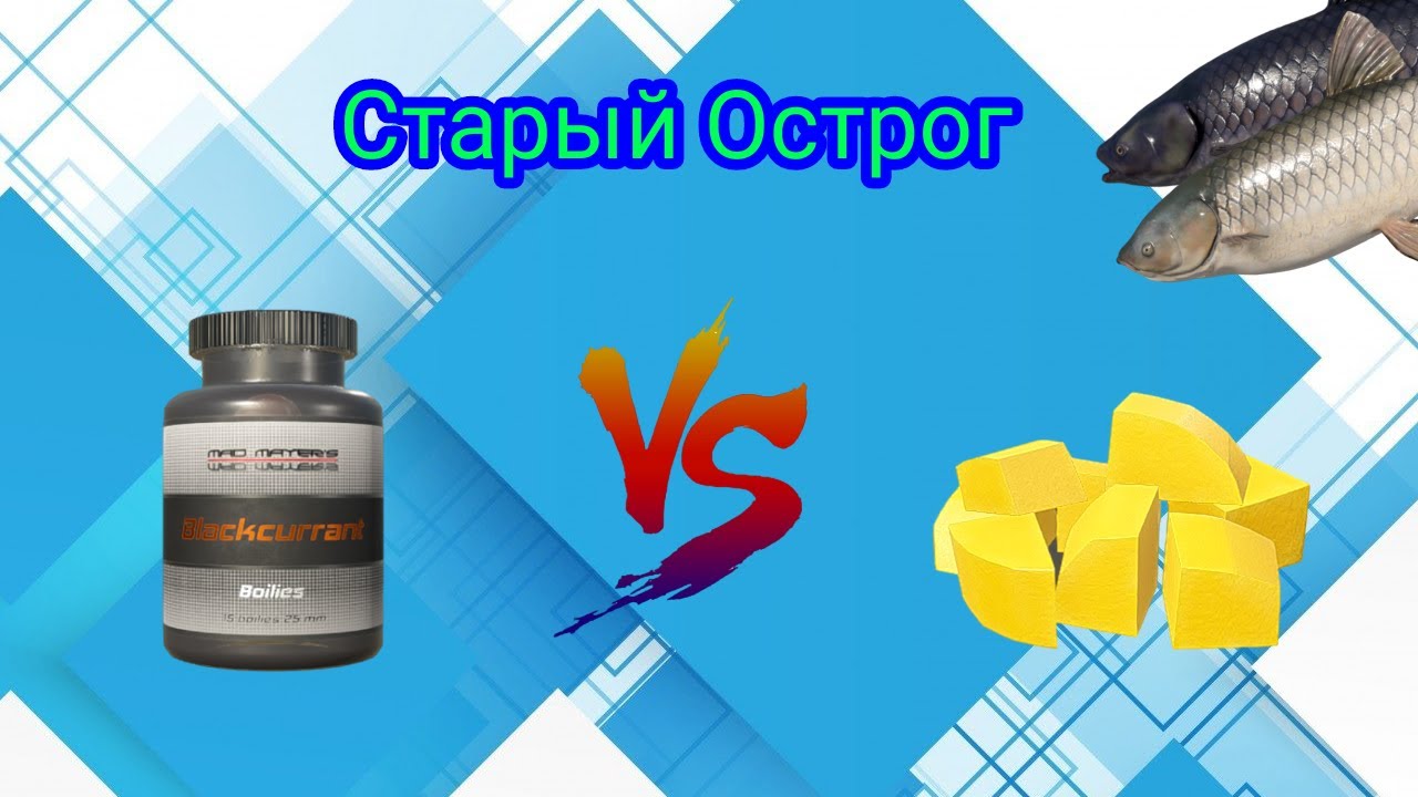 Старый острог\Ловля амура на бойлы и картошку\РР4