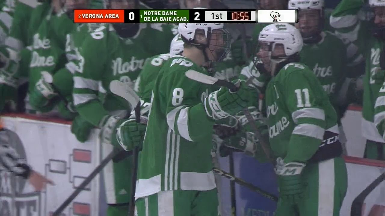 Notre Dame scores back-back goals at WIAA D1 State Boys Hockey Championships
