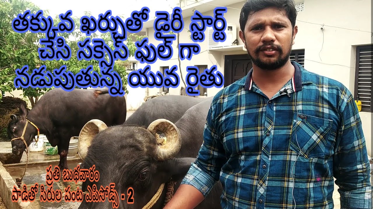 Successful Dairy Farmer/తక్కువ ఖర్చుతో డైరీని నడుపుతున్న యువ రైతు
