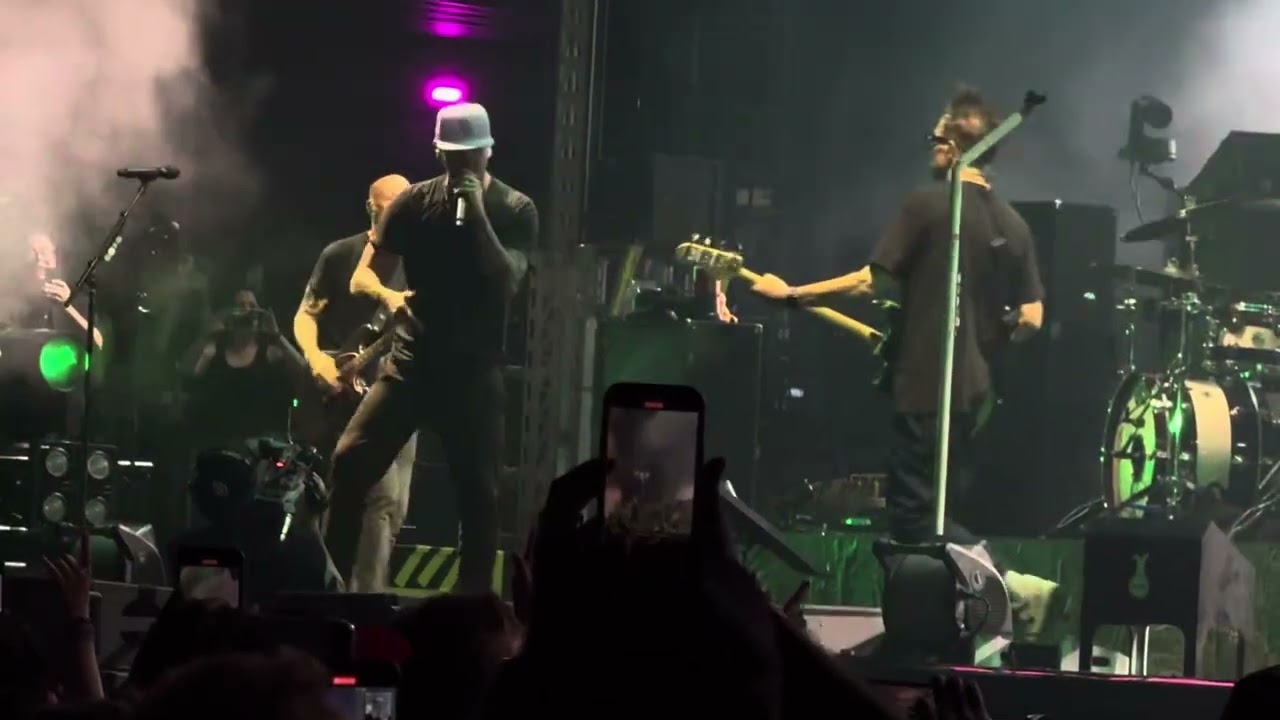 Blink 182 with Stephen Egertonfrom the Descendants Hope Liveat Riot Fest Chicago 9/19/25