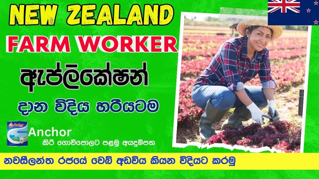 New Zealand Farm worker application දාන්නේ කොහොමද? How to apply for farm worker jobs in New Zealand