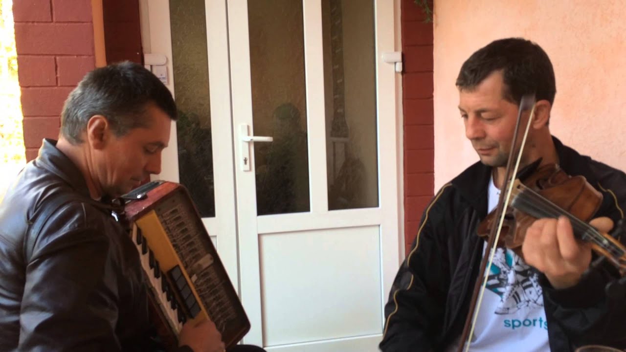 Золотарево