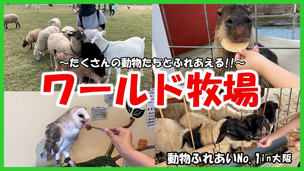 【ワールド牧場】動物ふれあいNo 1in大阪～たくさんの動物たちとふれあえる!!～