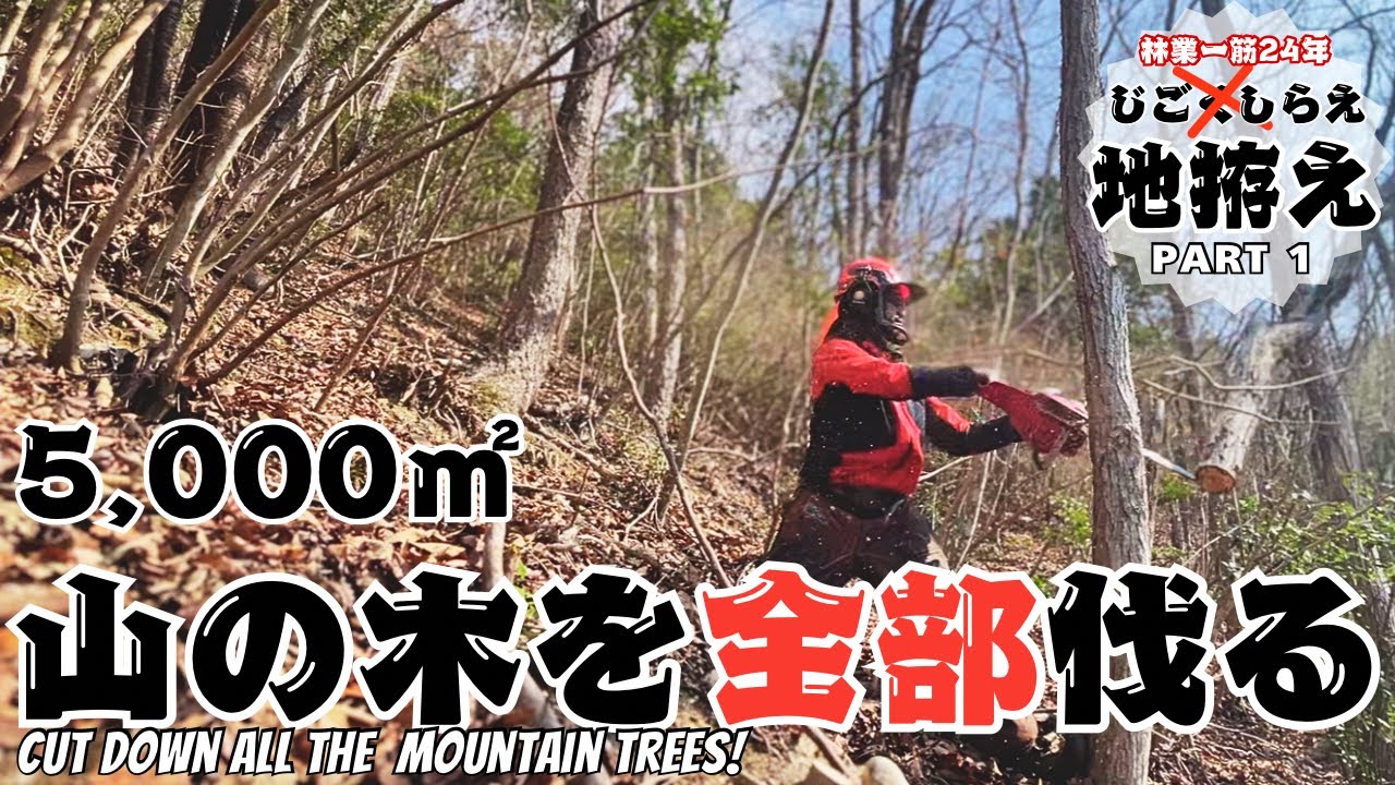 【過酷】人力×チェーンソーで急斜面5000㎡を切り拓く｜1・2日目【Extreme】Clearing a Steep 5000㎡ Slope with Just Chainsaws | Day 1–2